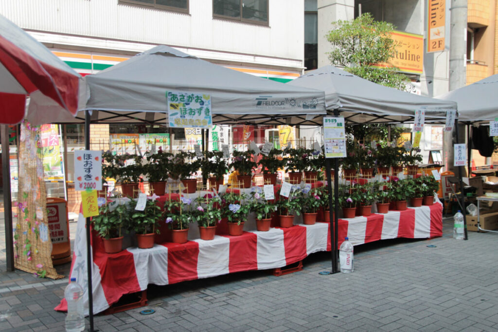 蕨駅東口一番街で開催される