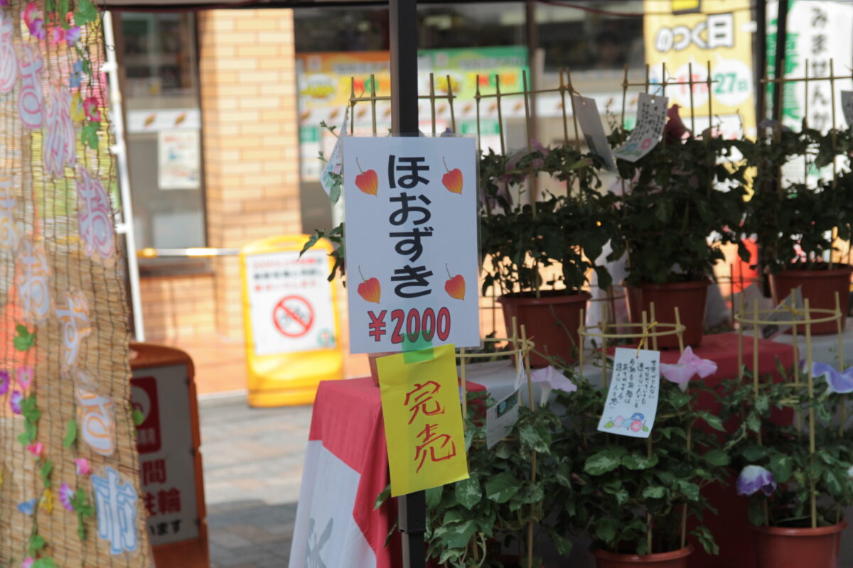 第49回あさがお＆ほおずき市