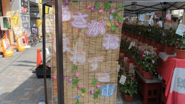 第49回あさがお＆ほおずき市