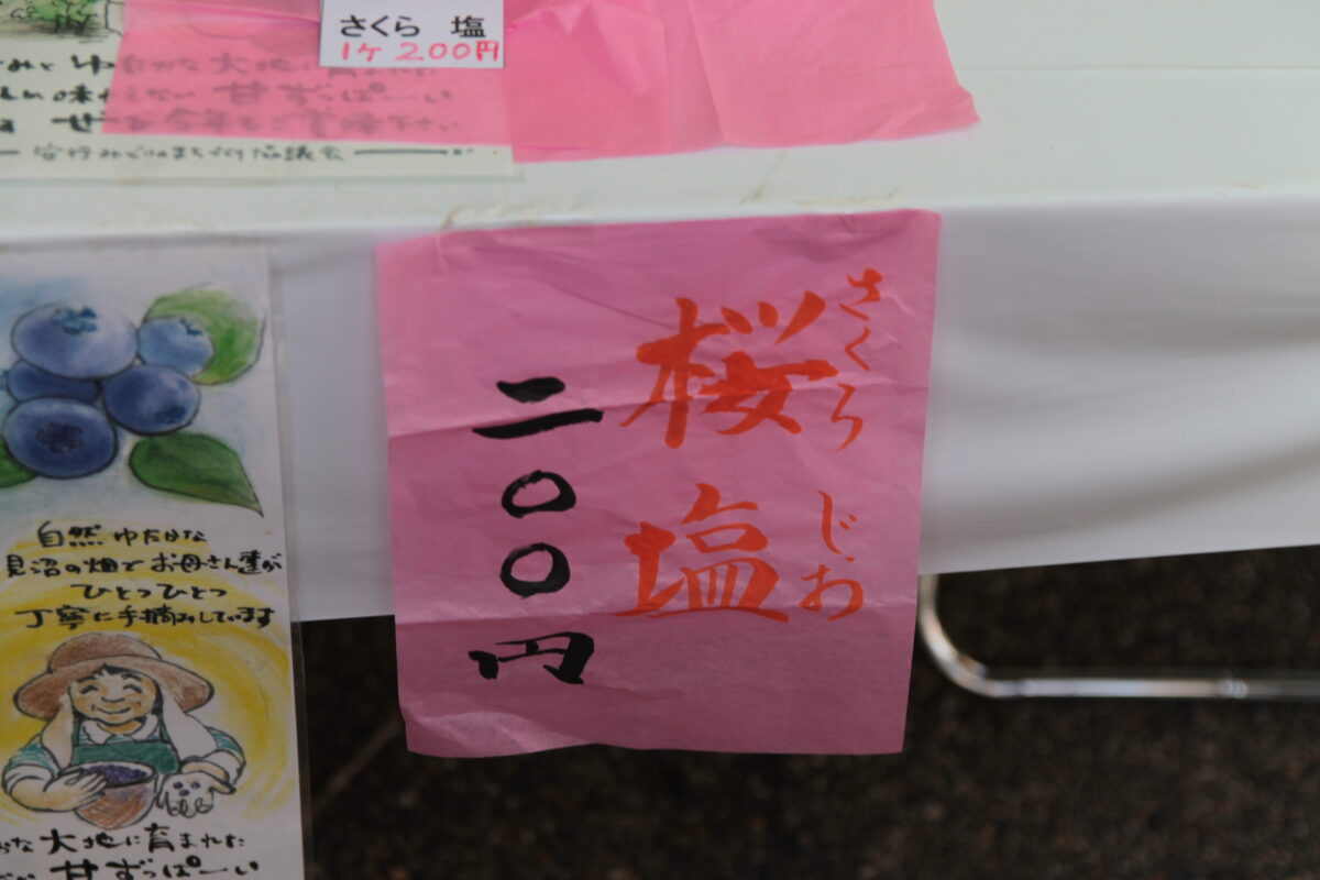 自然ふれあい祭り