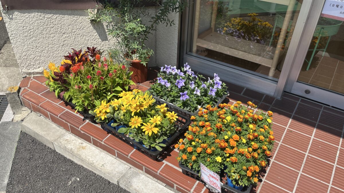 西川口 花かご