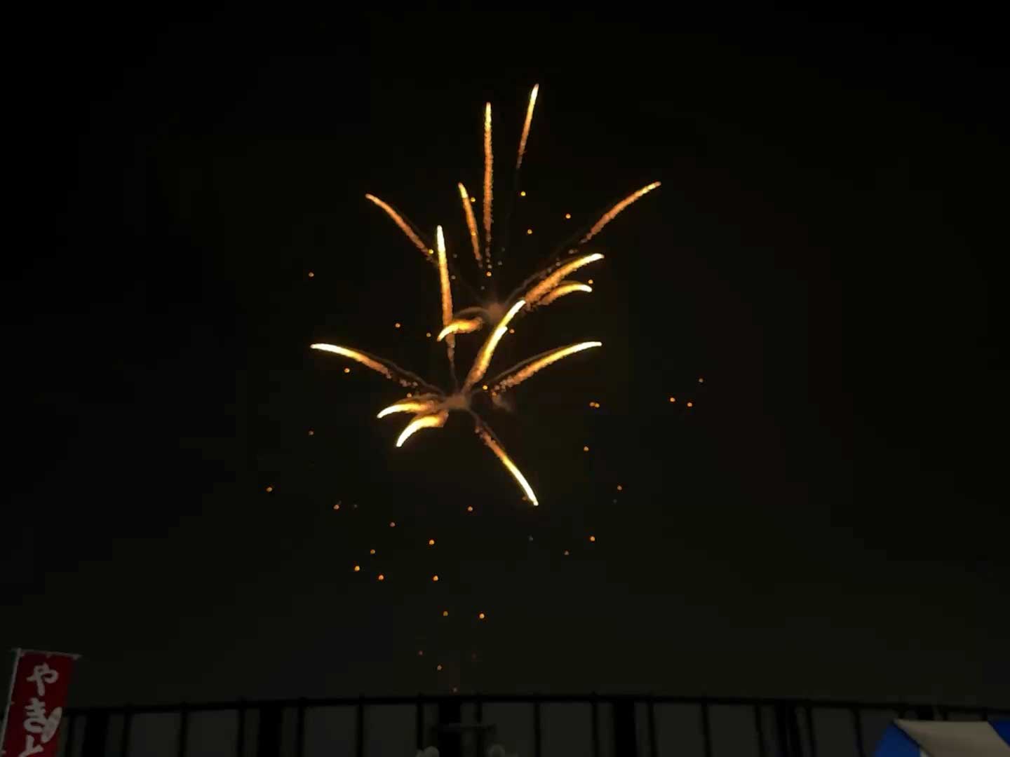 第45回花火大会