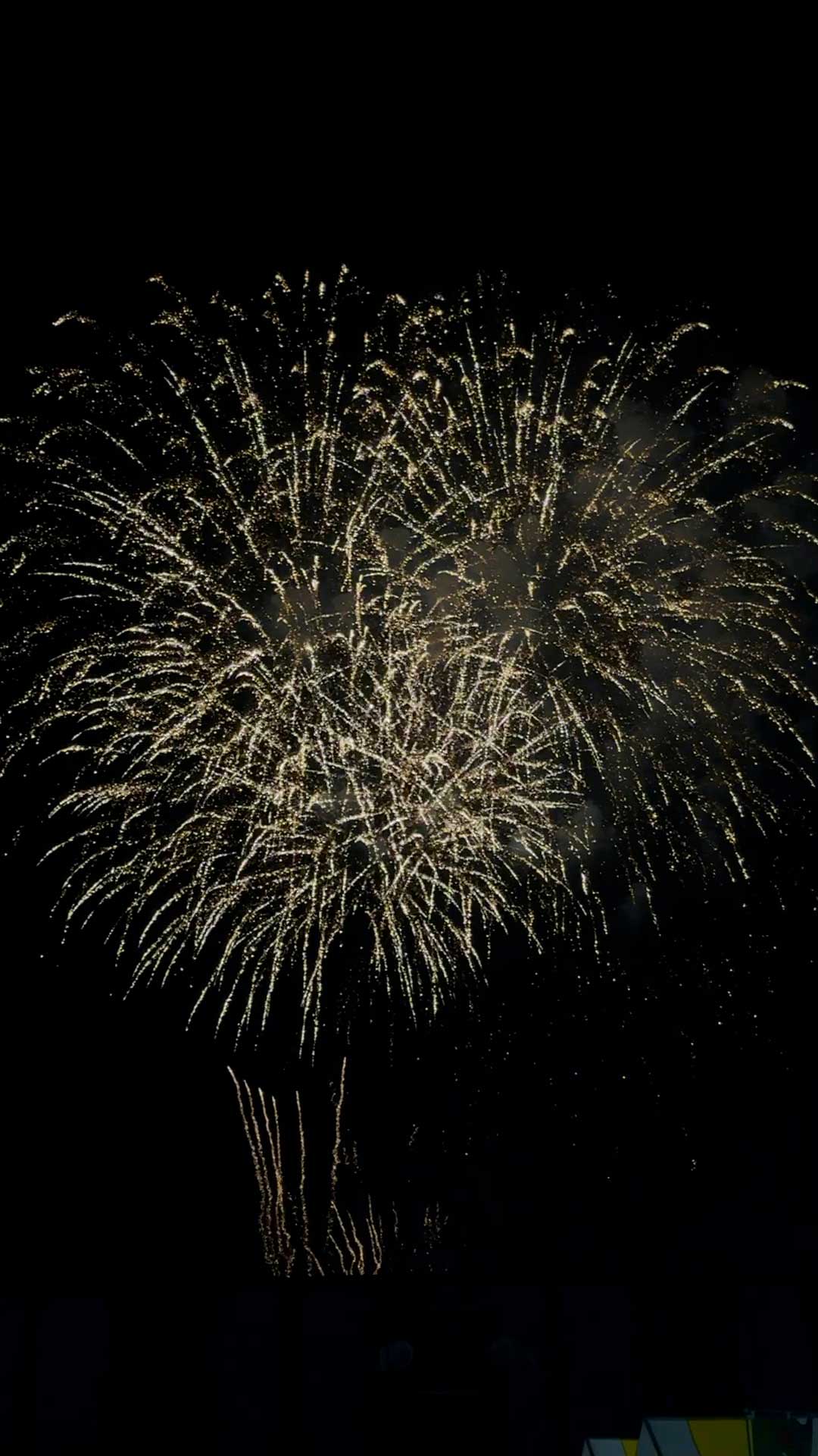 第45回花火大会
