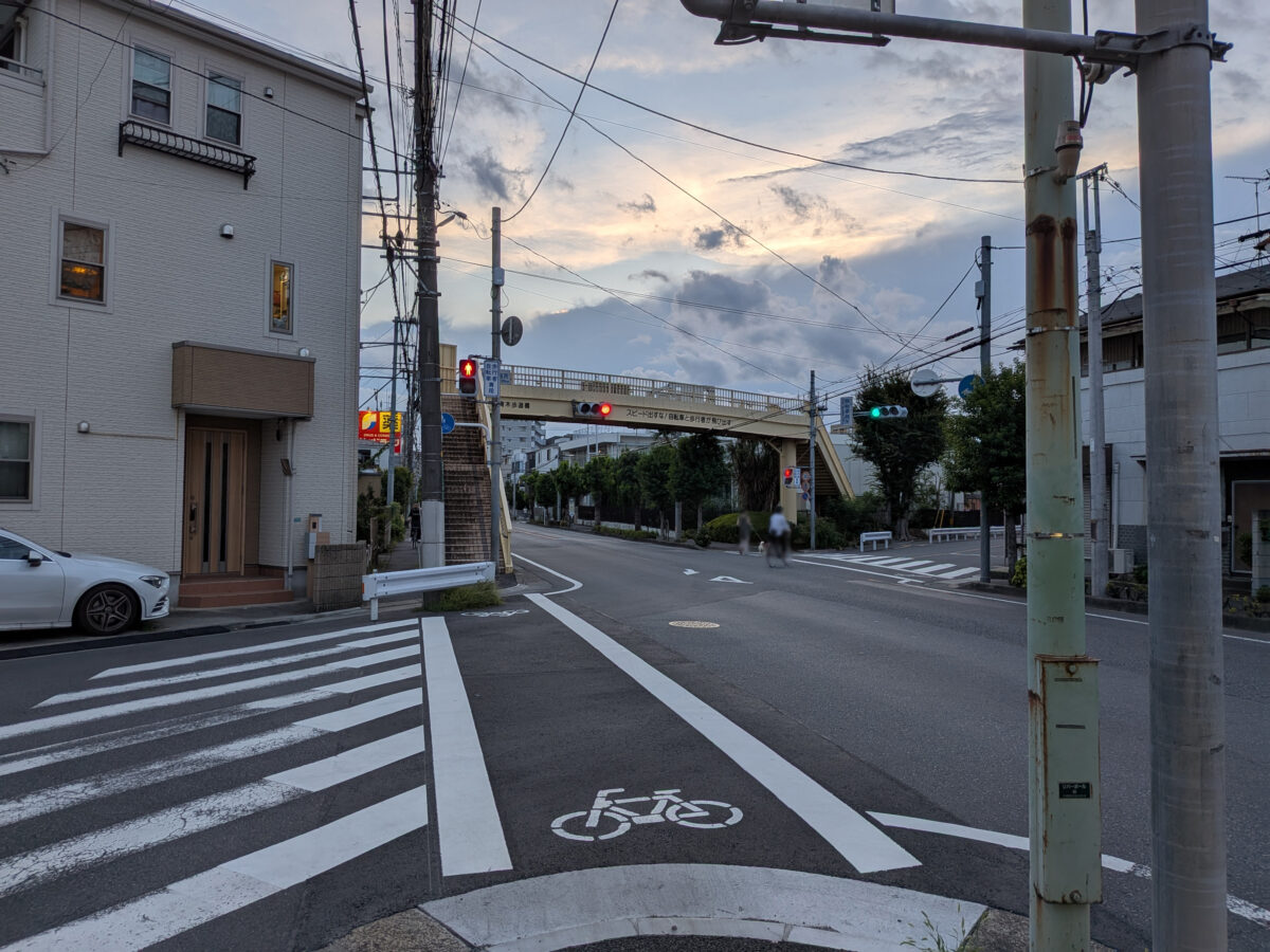 川口 コシ屋