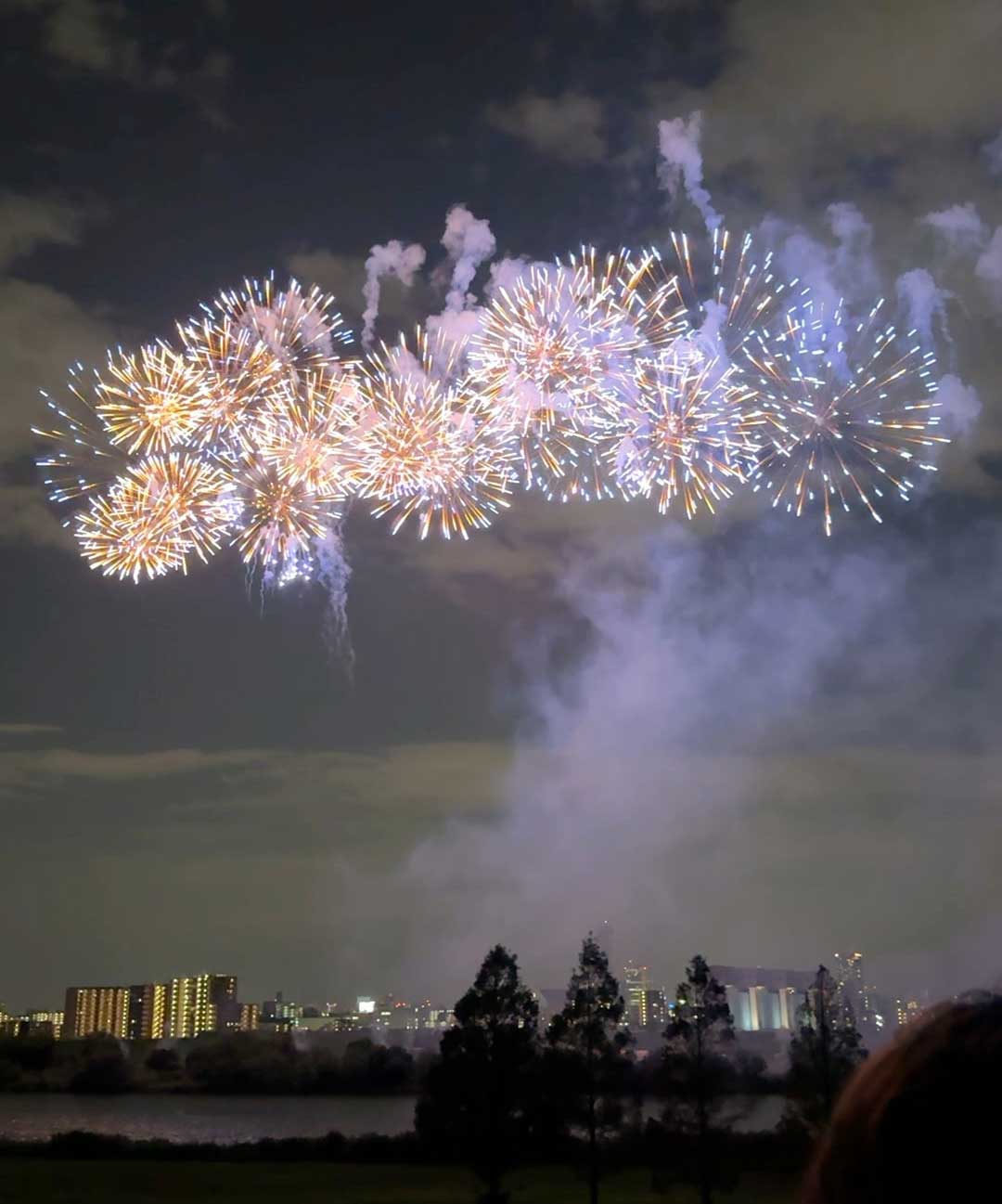 北区花火会in川口 花火の様子