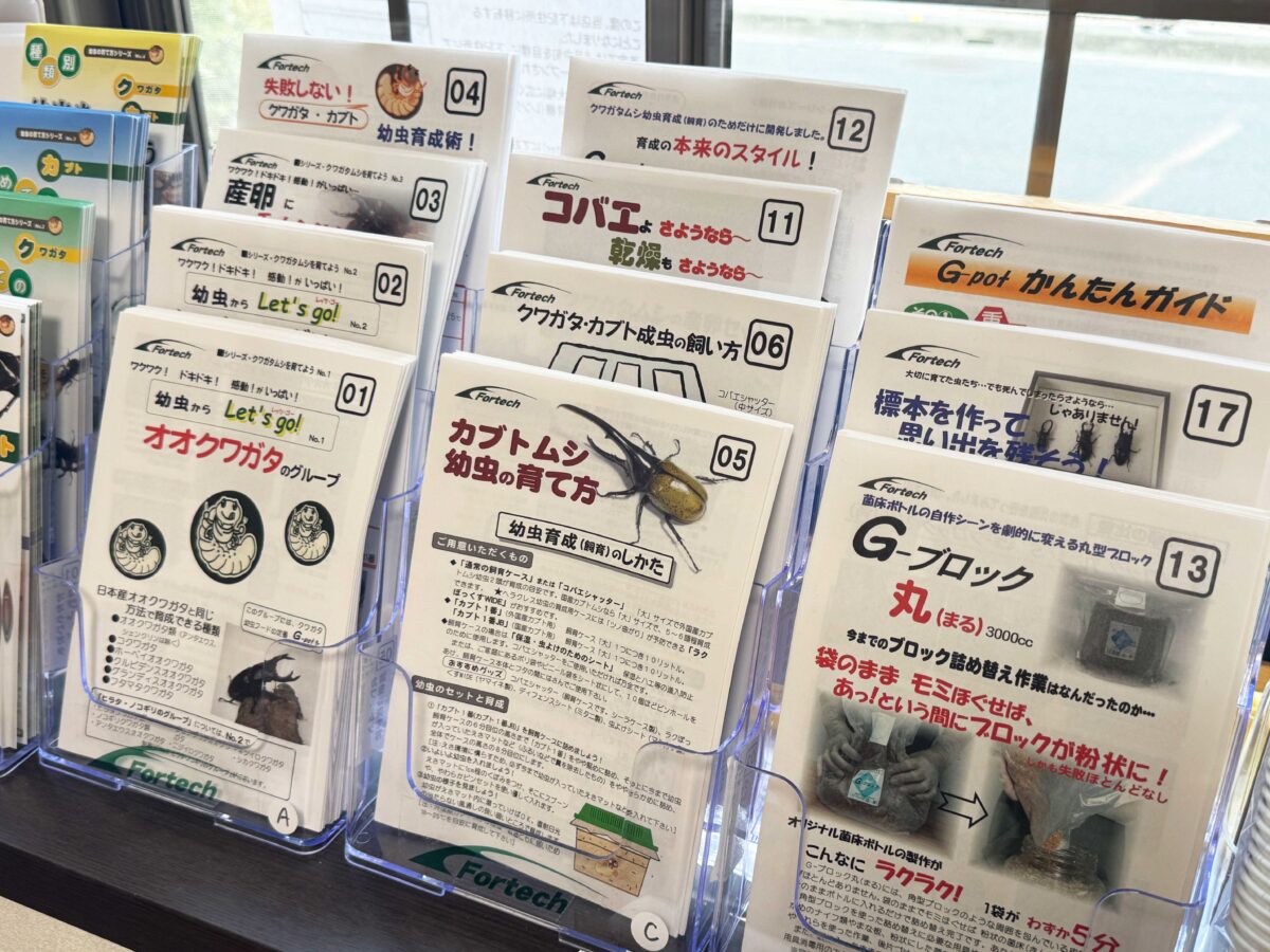 なかよしメダカ くわかぶ部