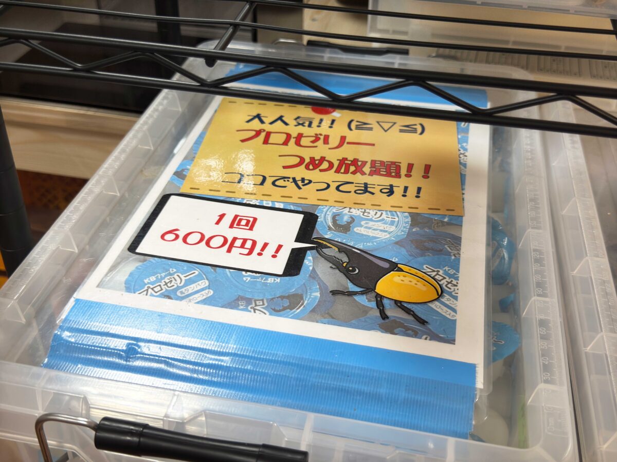 なかよしメダカ くわかぶ部