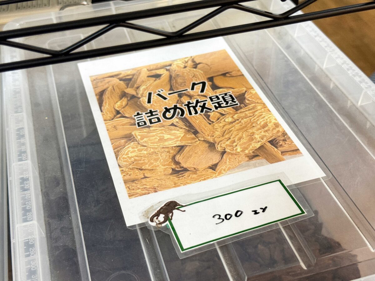 なかよしメダカ くわかぶ部