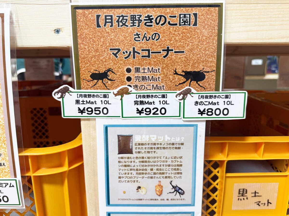 なかよしメダカ くわかぶ部