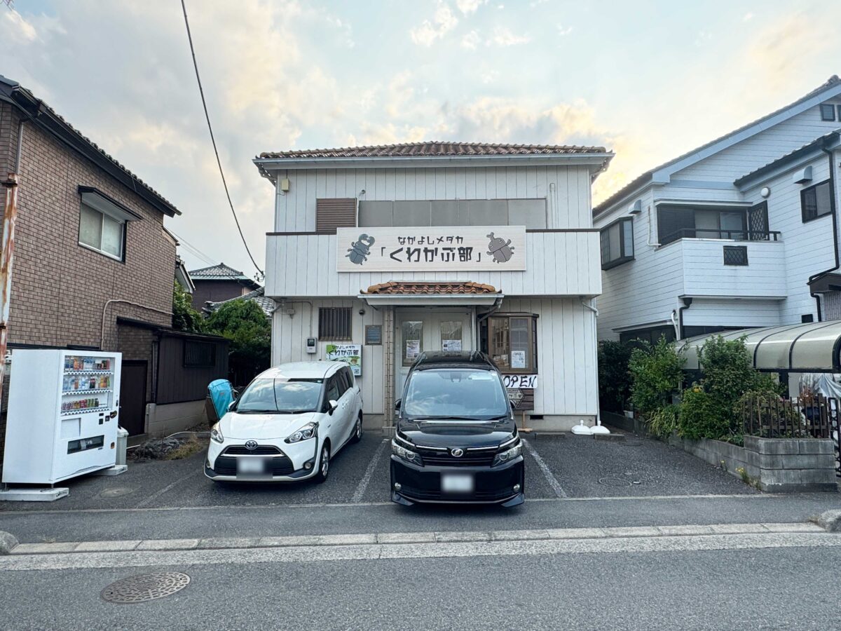 なかよしメダカ くわかぶ部