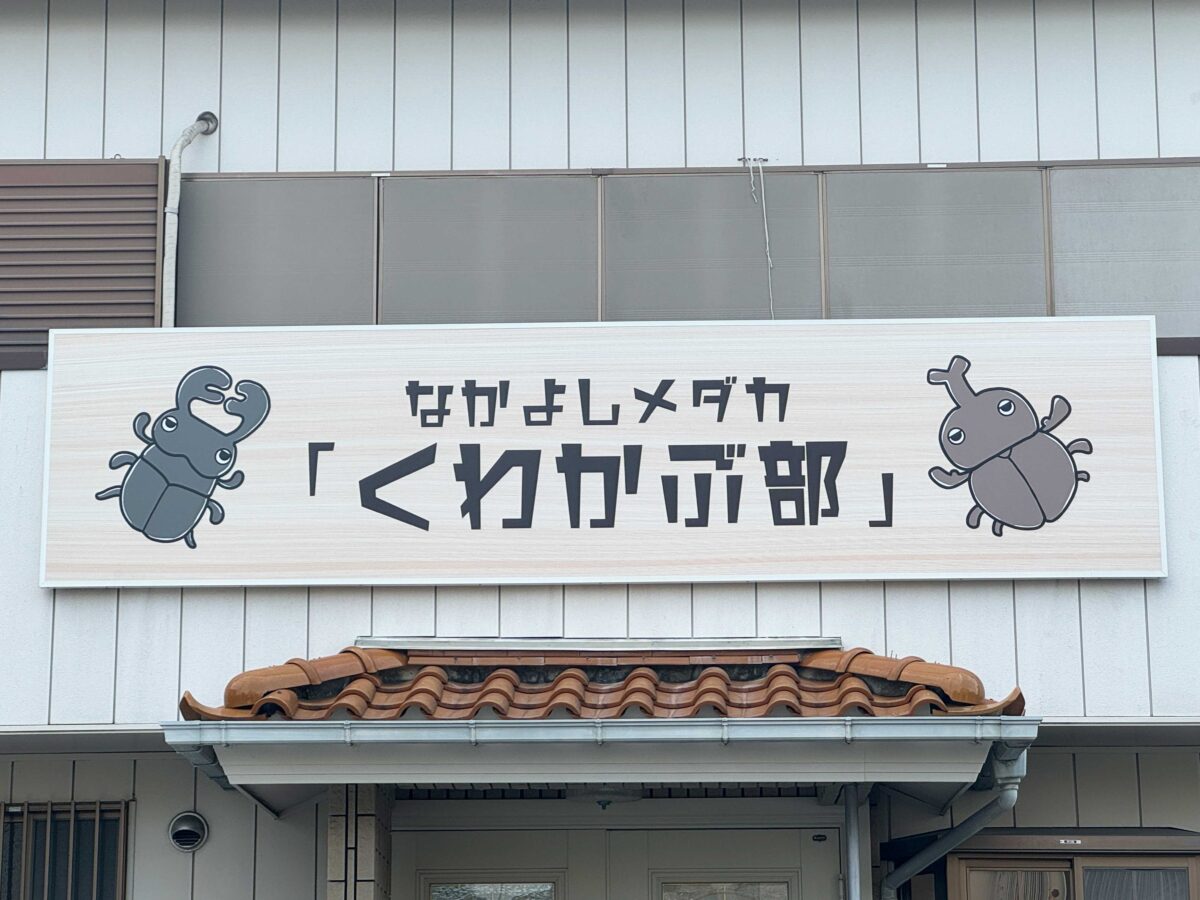 なかよしメダカ　くわかぶ部
