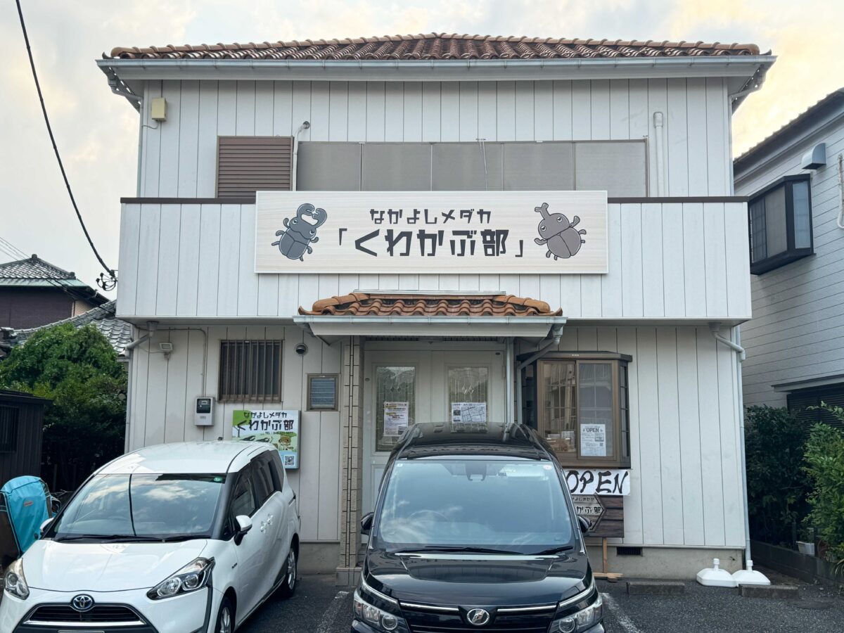 なかよしメダカ くわかぶ部
