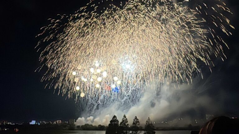 北区花火会in川口 花火の様子