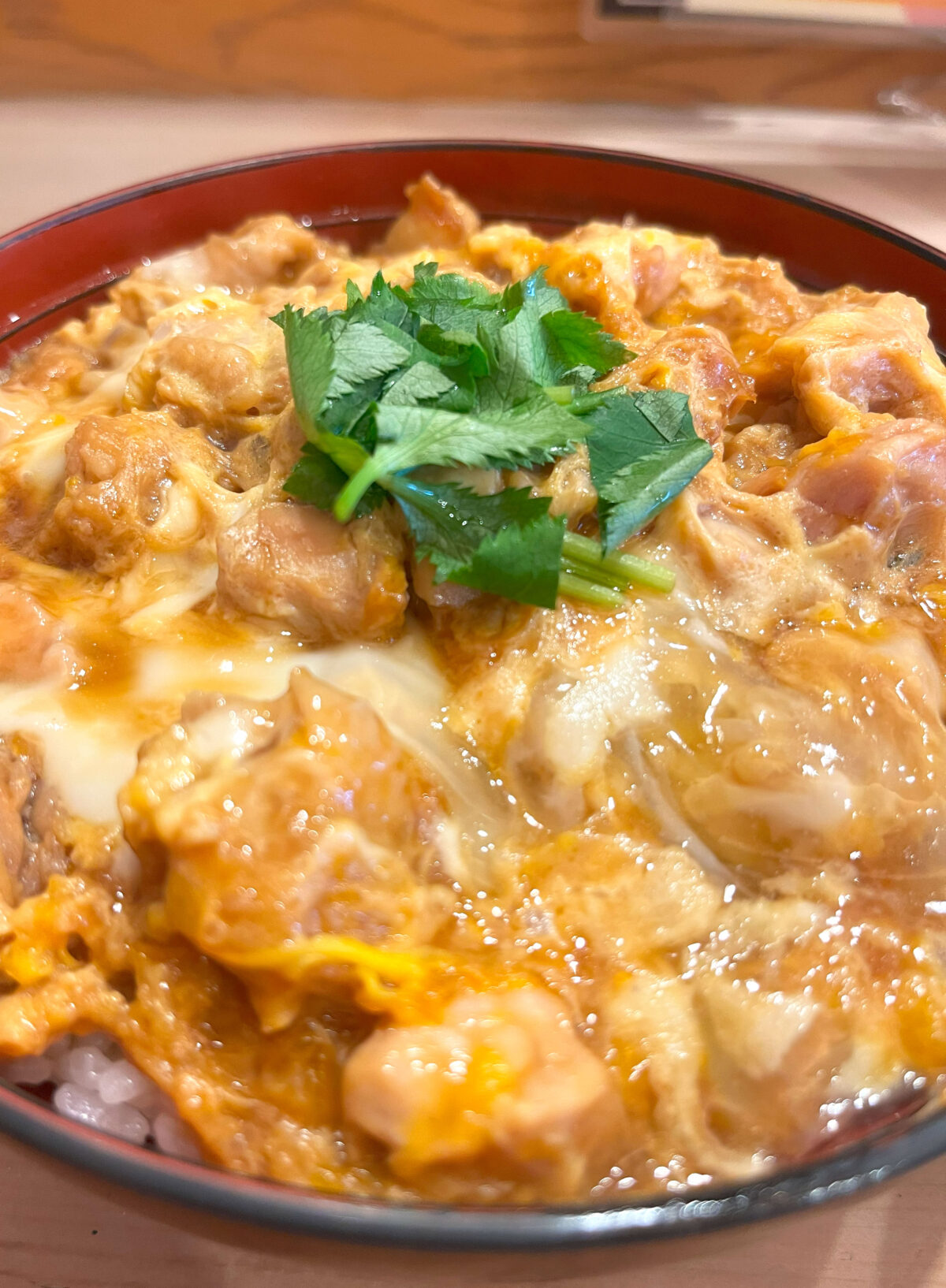 南浦和 地鶏屋たかせん 親子丼　