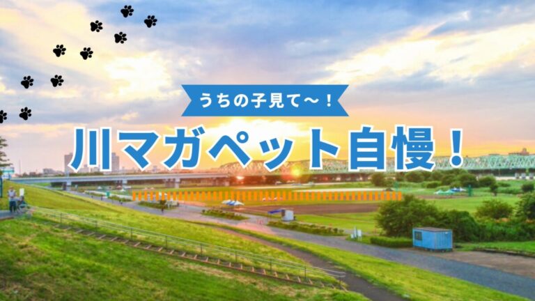 川マガペット