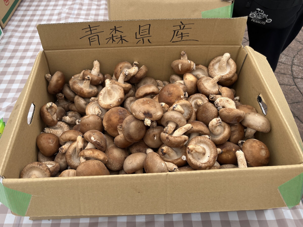 ララガーデン川口 野菜詰め放題チャレンジ