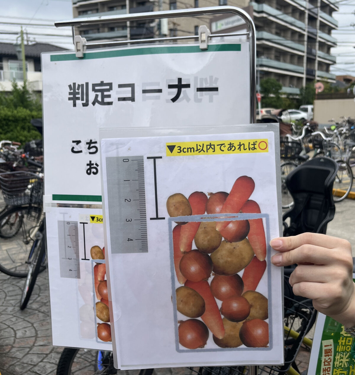 ララガーデン川口 野菜詰め放題チャレンジ