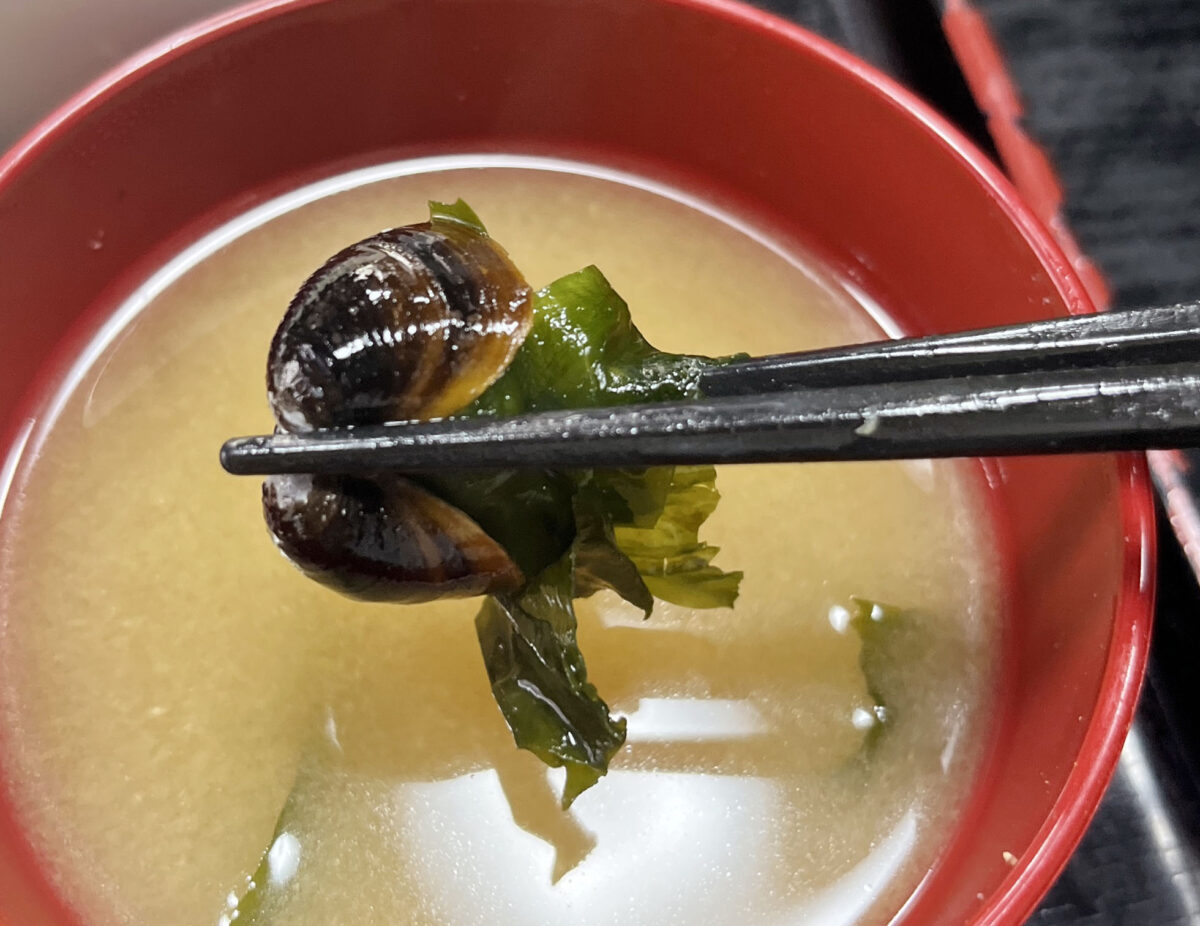 新井町 食事処みゆき亭