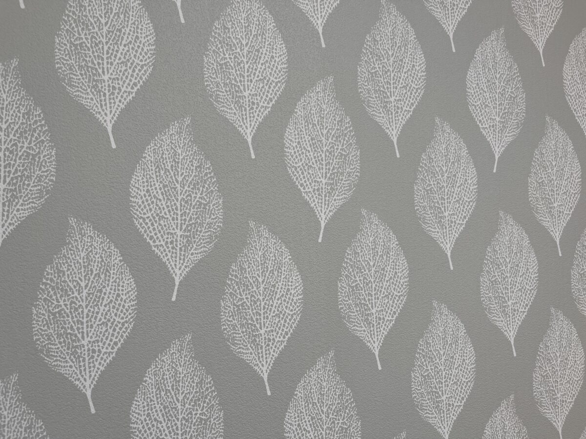 川マガ賃貸 サーラ川口