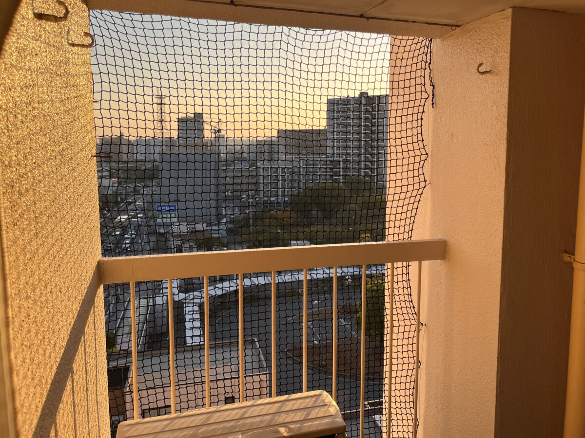 川マガ賃貸 サーラ川口