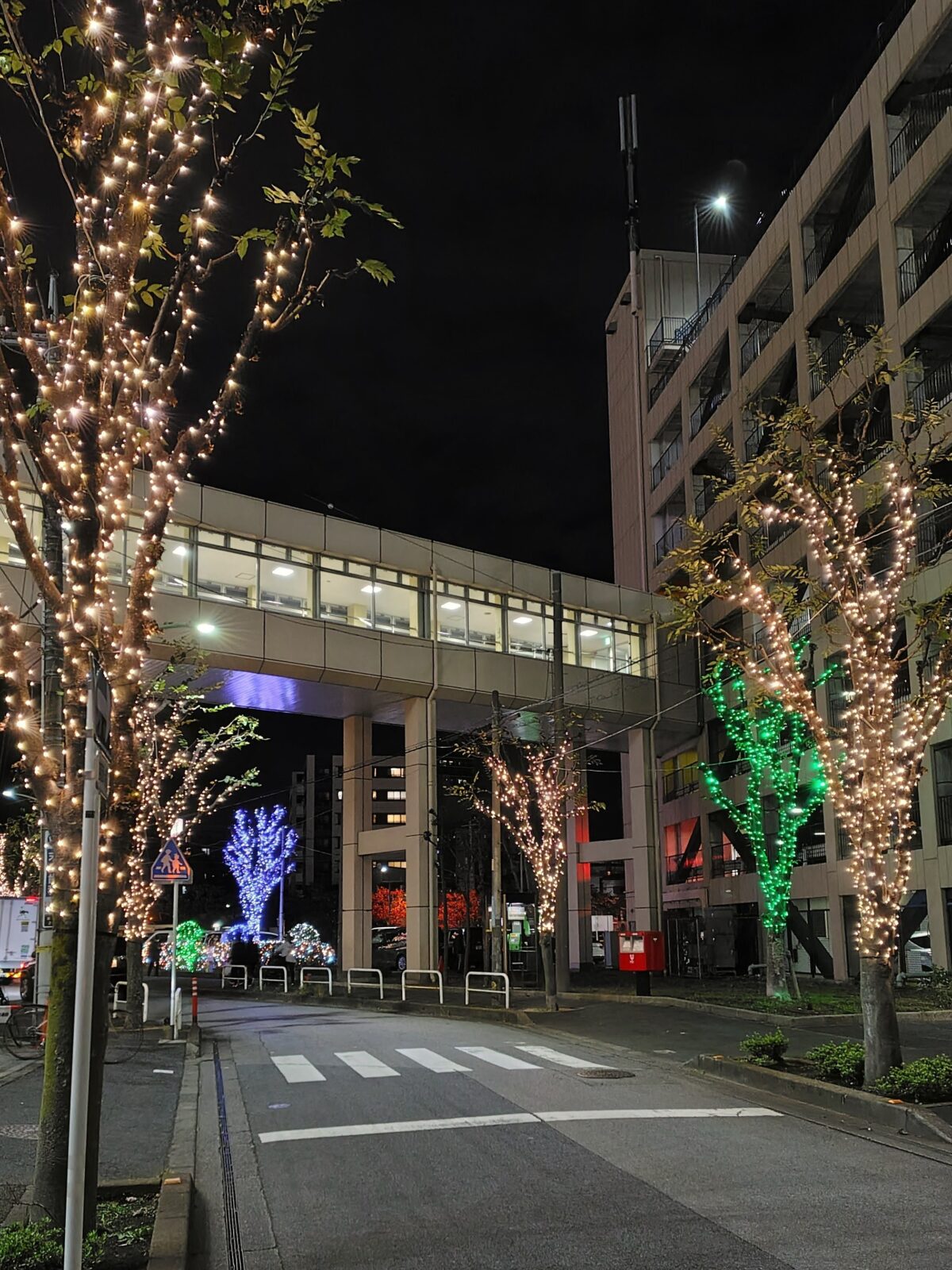ミエルかわぐち イルミネーション