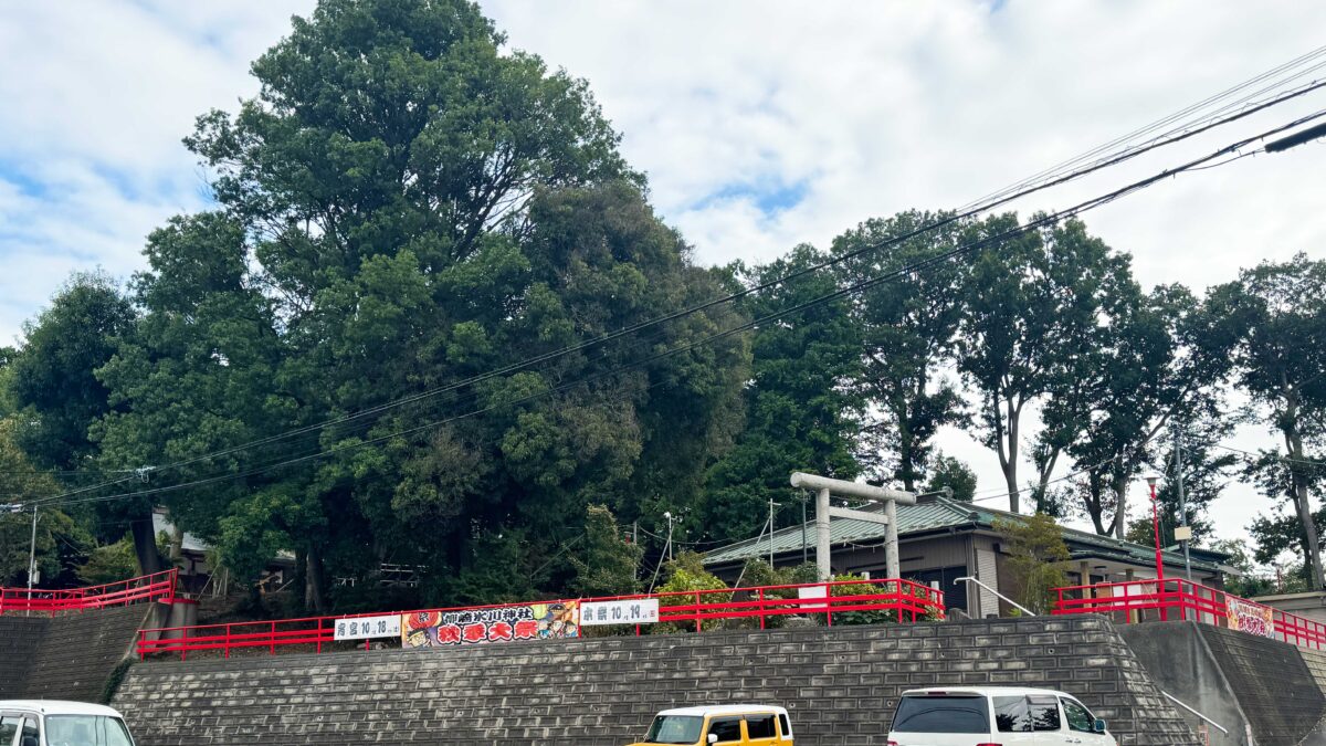 柳崎氷川神社