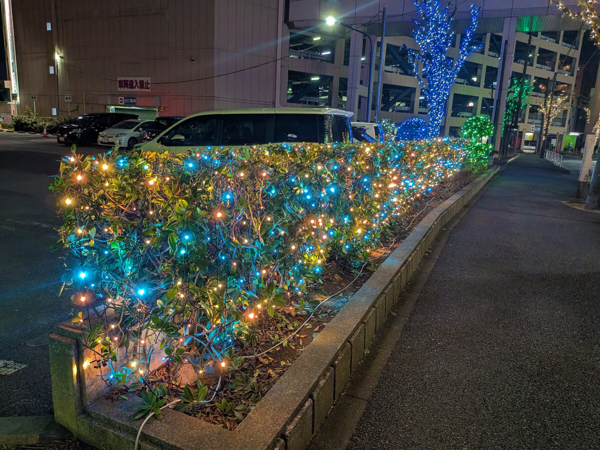 ミエルかわぐち イルミネーション