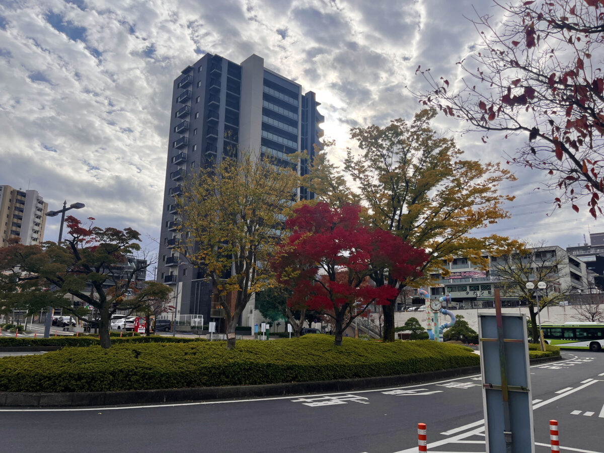 東川口 紅葉