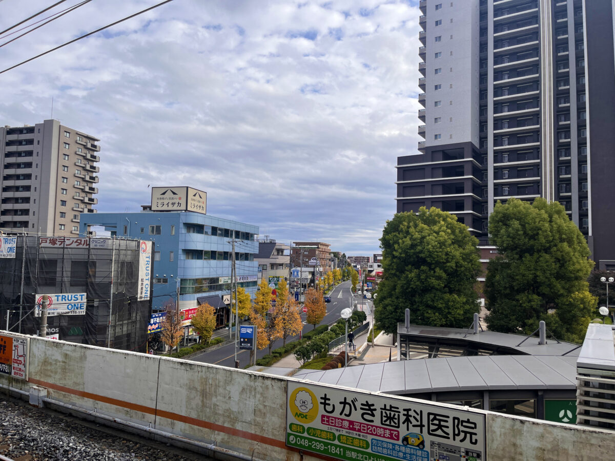 東川口 紅葉