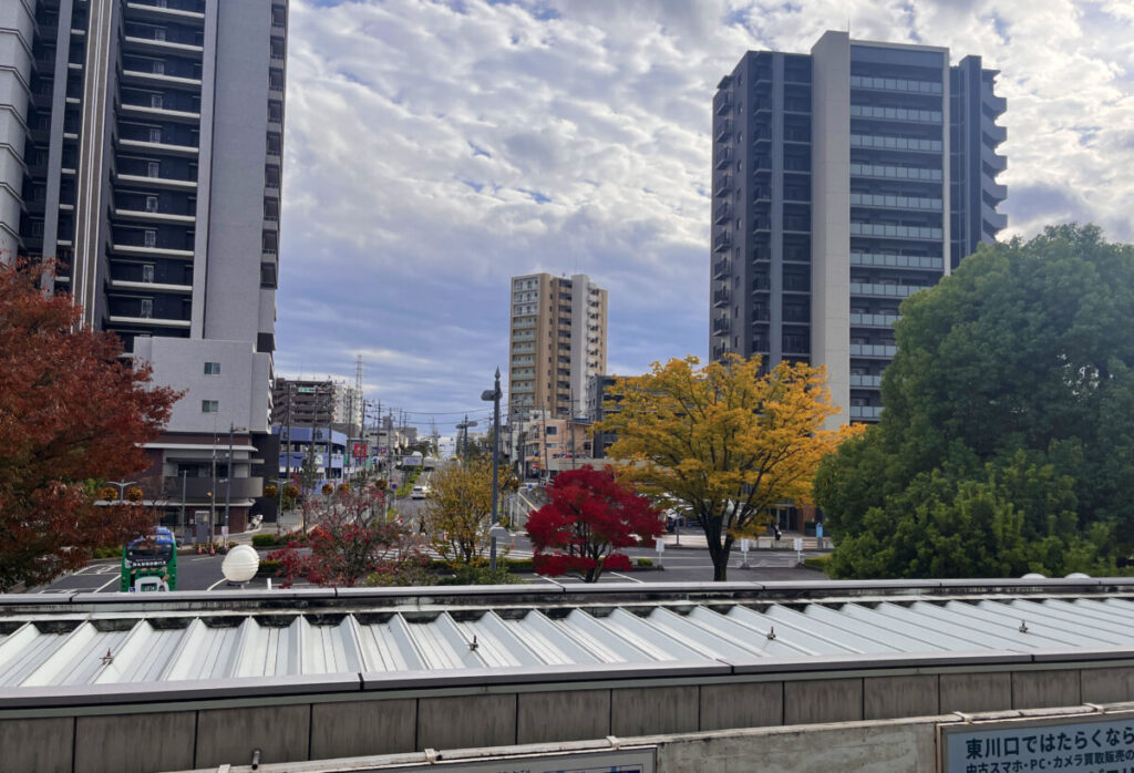 東川口 紅葉