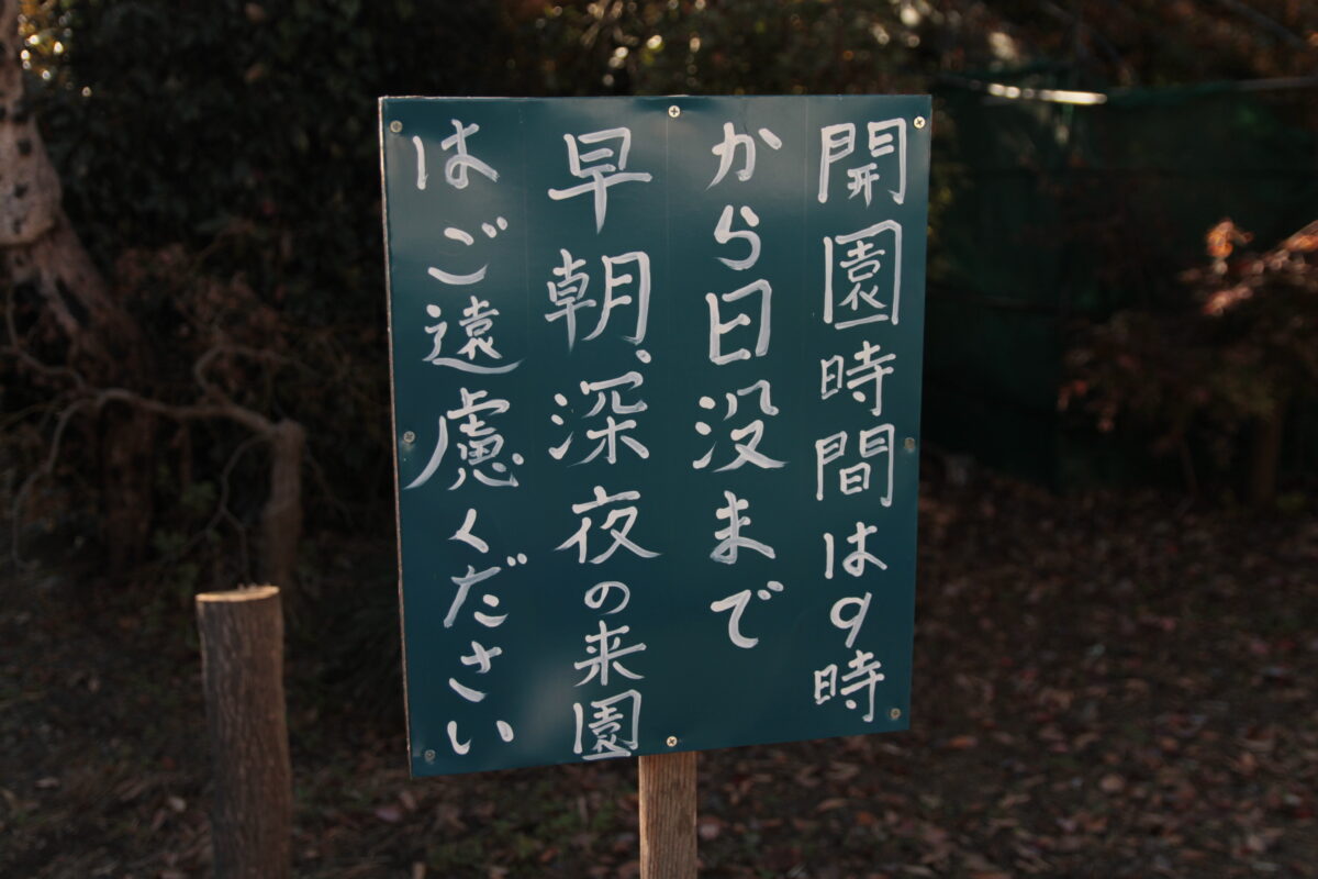 小林もみじ園 2025年11月21日の紅葉の様子