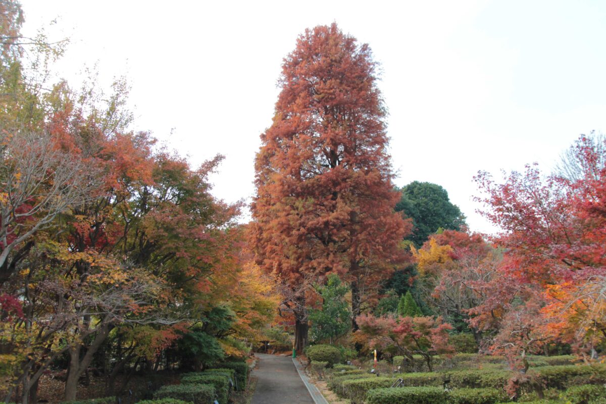 埼玉県花と緑の振興センター