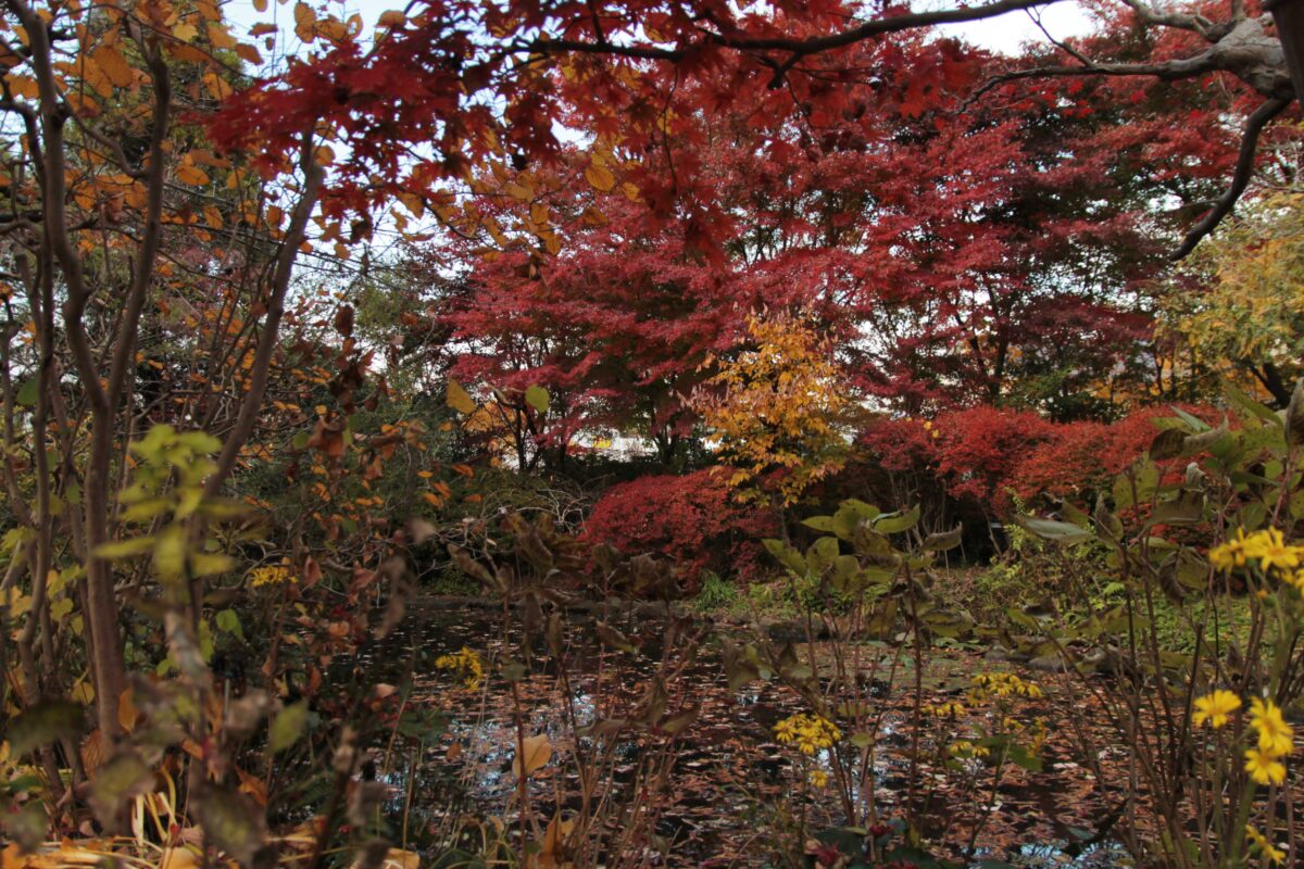 埼玉県花と緑の振興センター