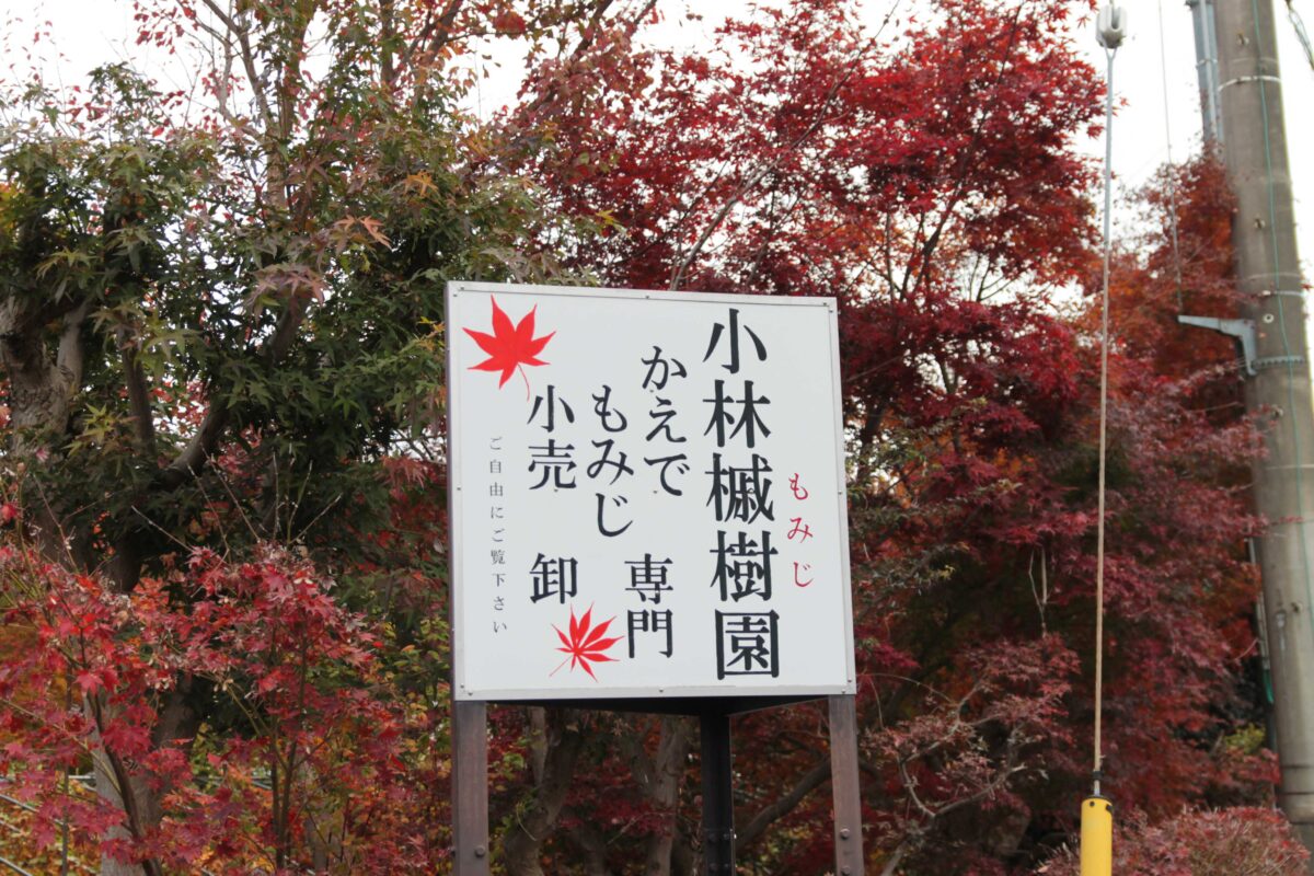 小林もみじ園
