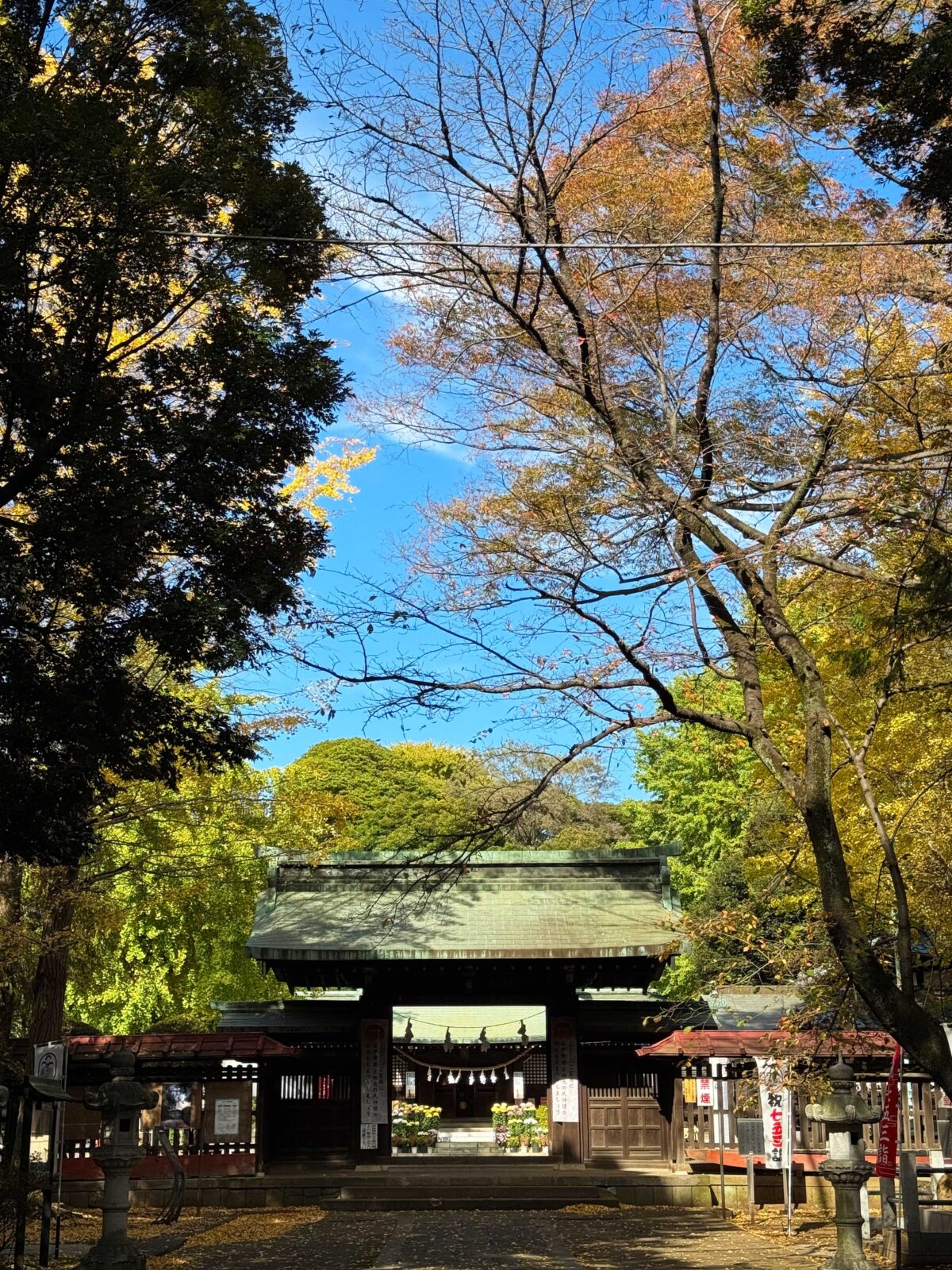 峯ヶ岡八幡神社