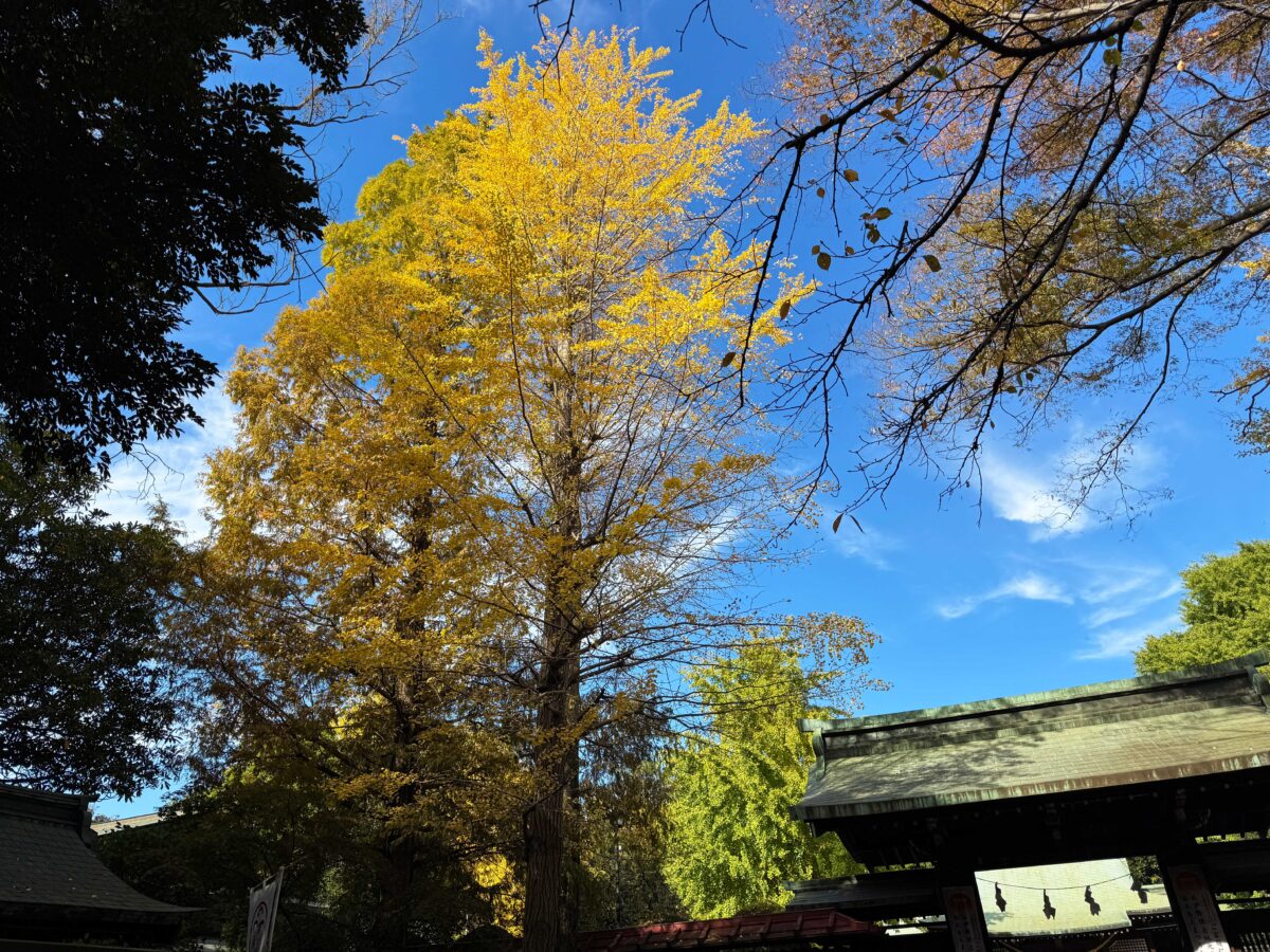 峯ヶ岡八幡神社