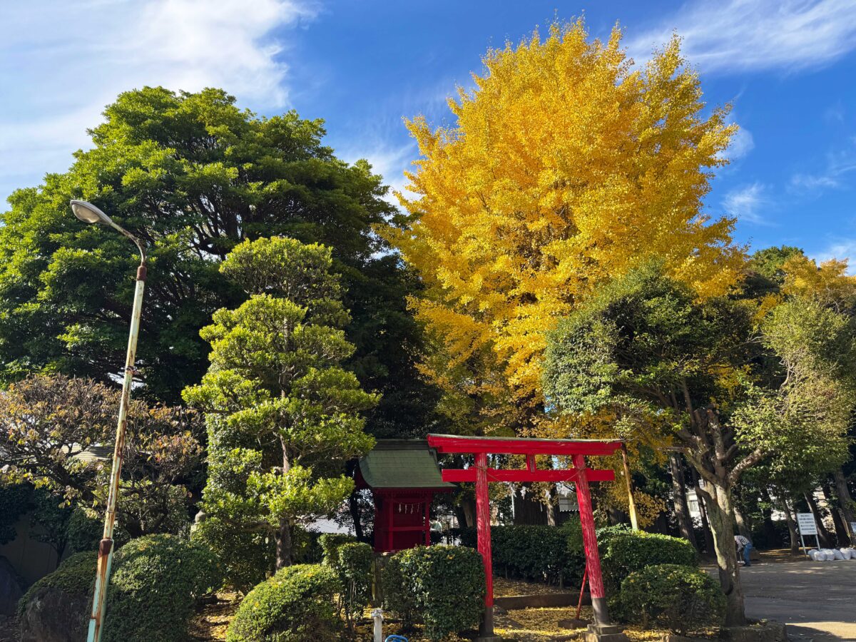 峯ヶ岡八幡神社