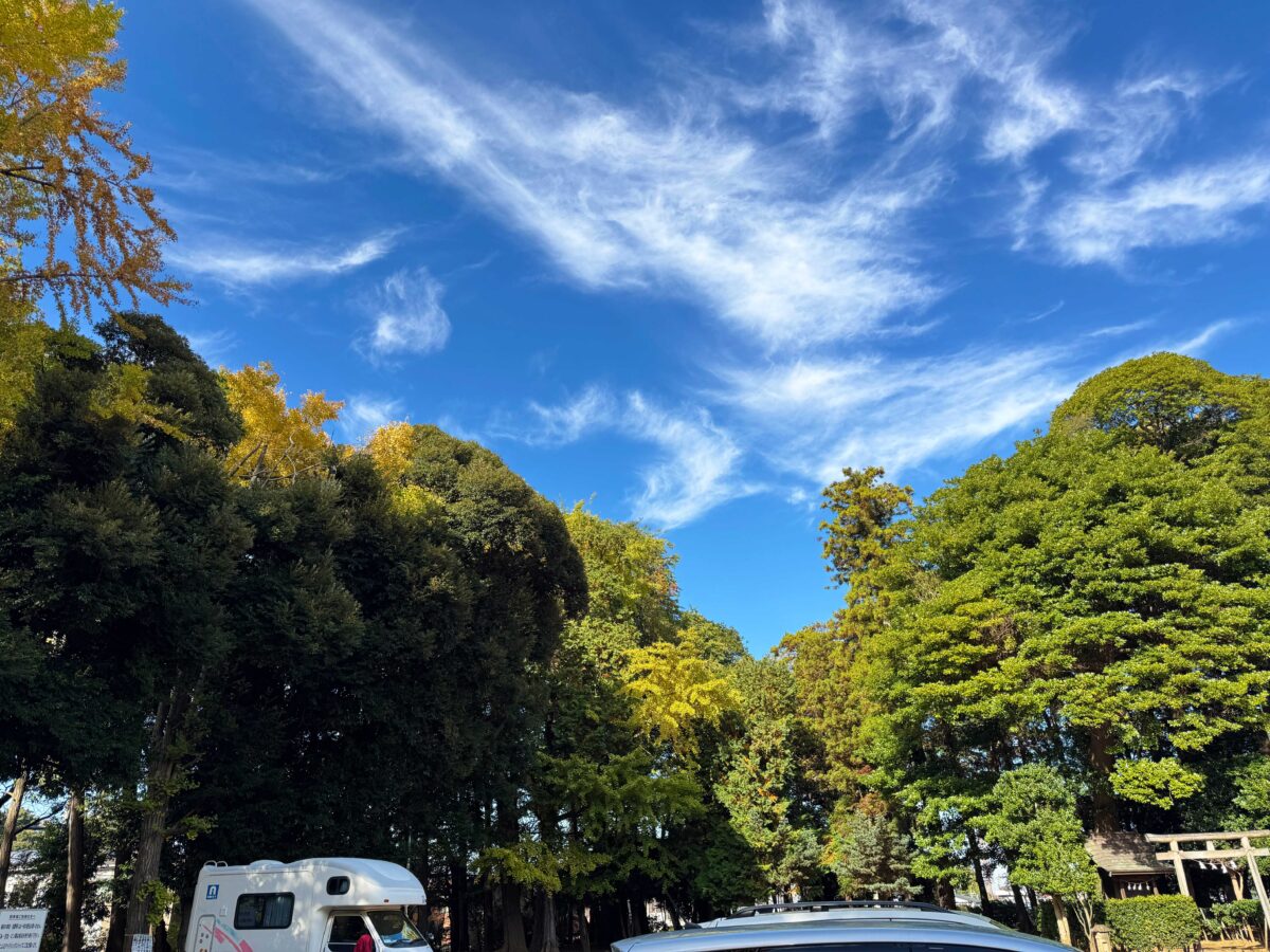 峯ヶ岡八幡神社