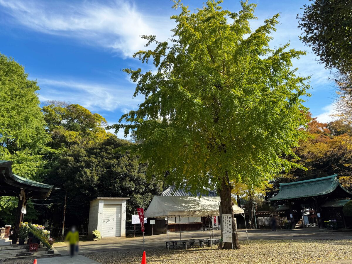 峯ヶ岡八幡神社