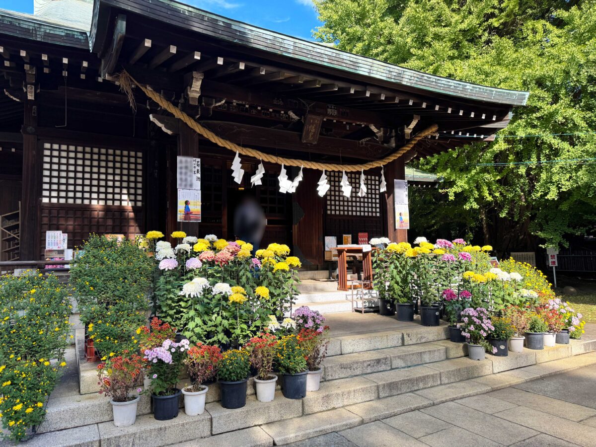 峯ヶ岡八幡神社