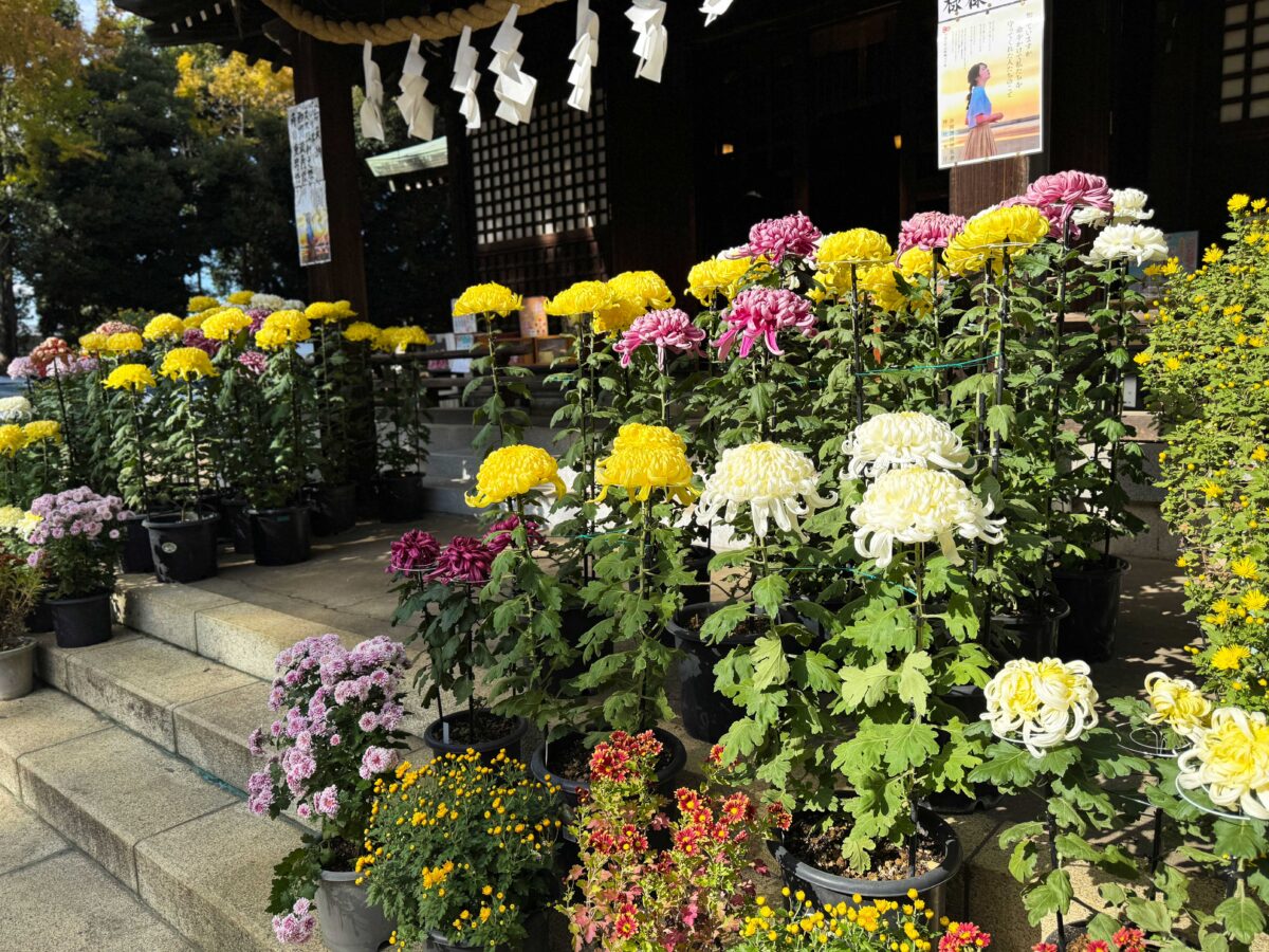 峯ヶ岡八幡神社