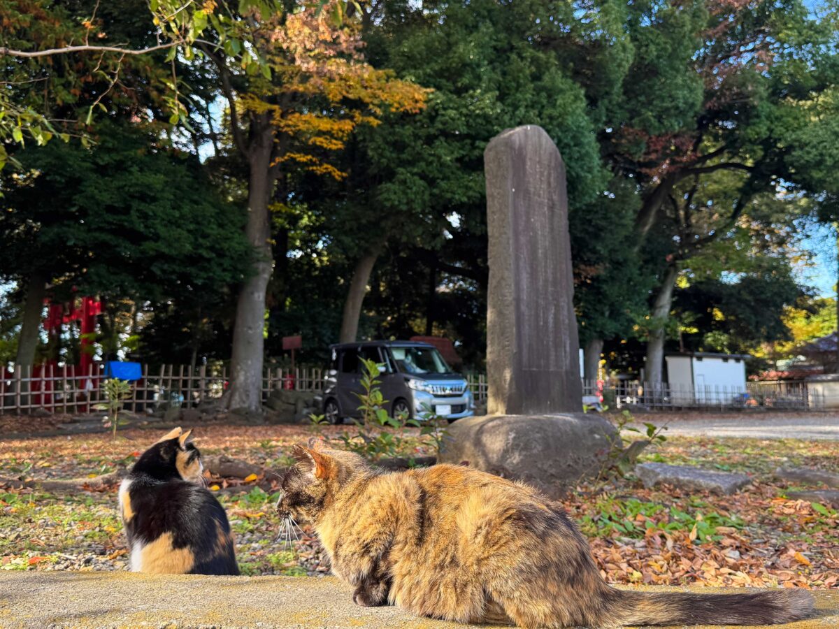 峯ヶ岡八幡神社