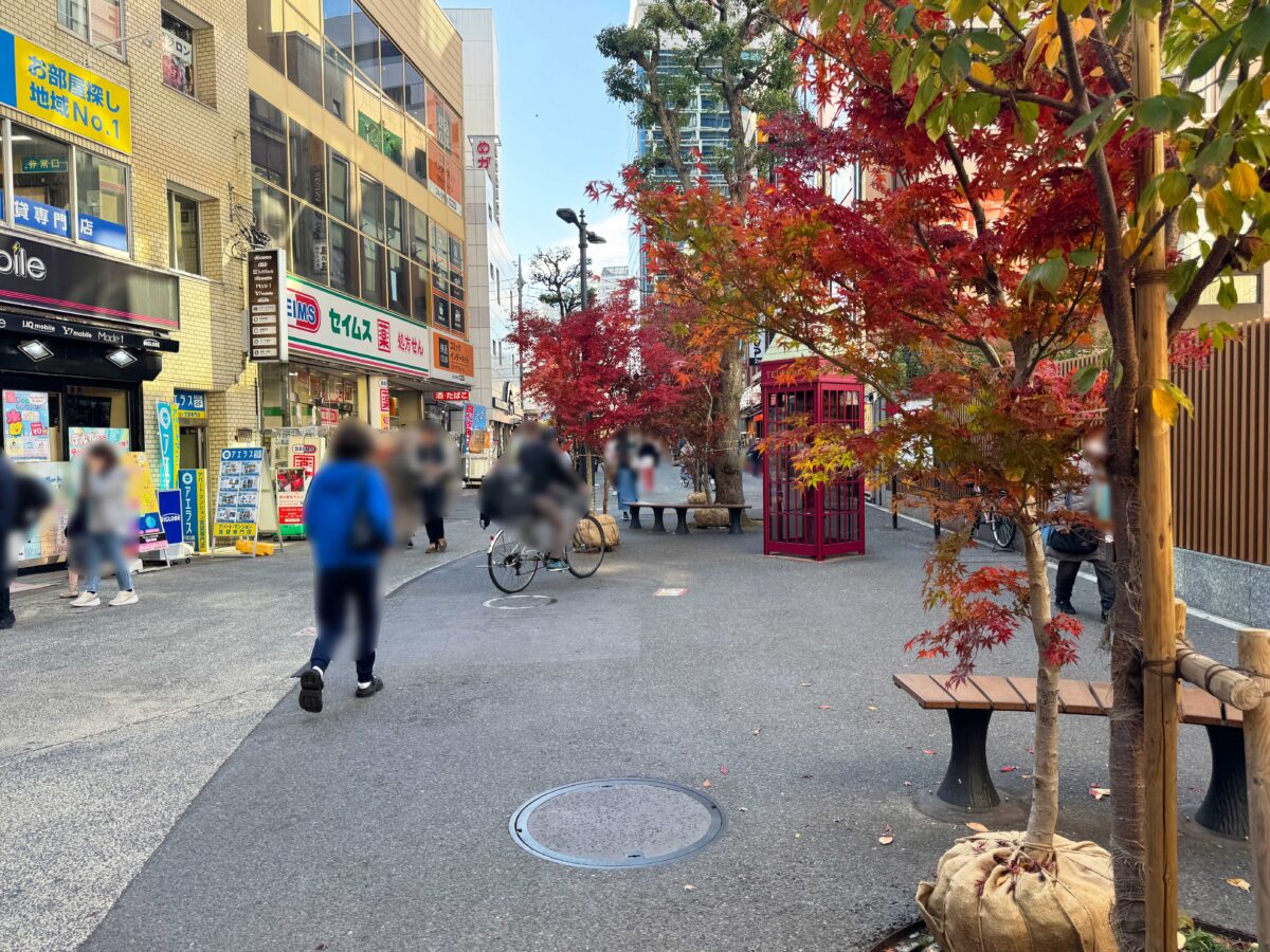 樹モール　紅葉