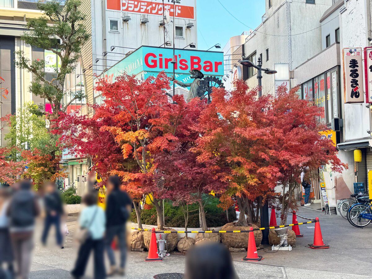 樹モール　紅葉