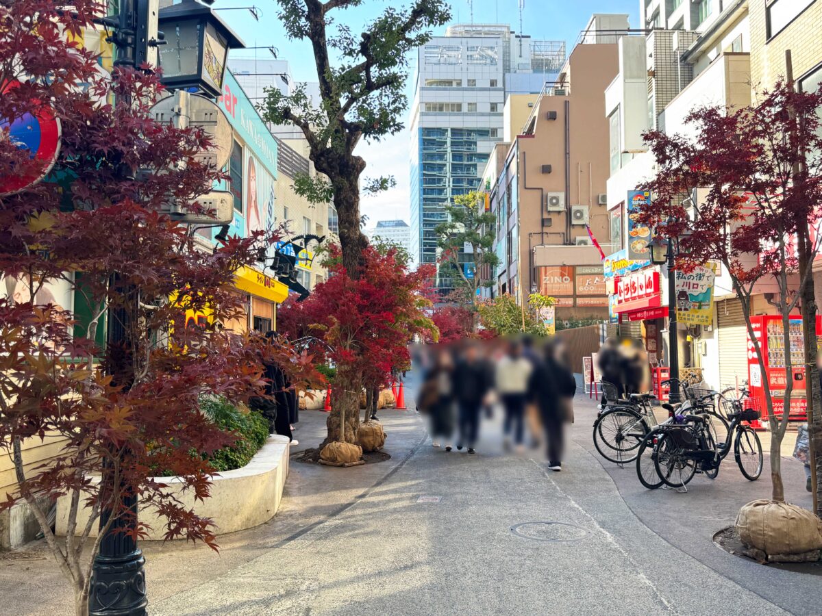 樹モール　紅葉