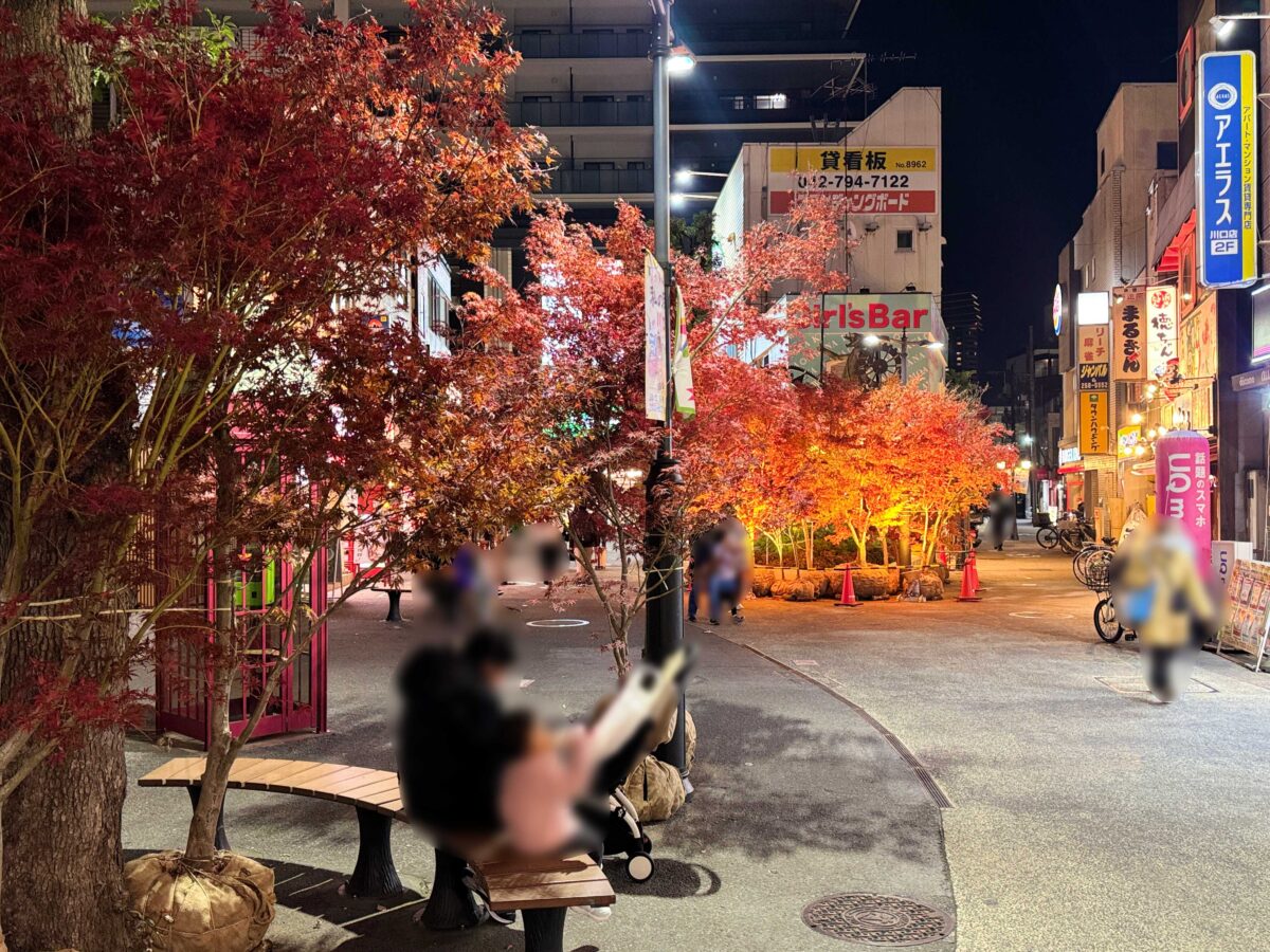 グリーンプラザ　もみじライトアップ