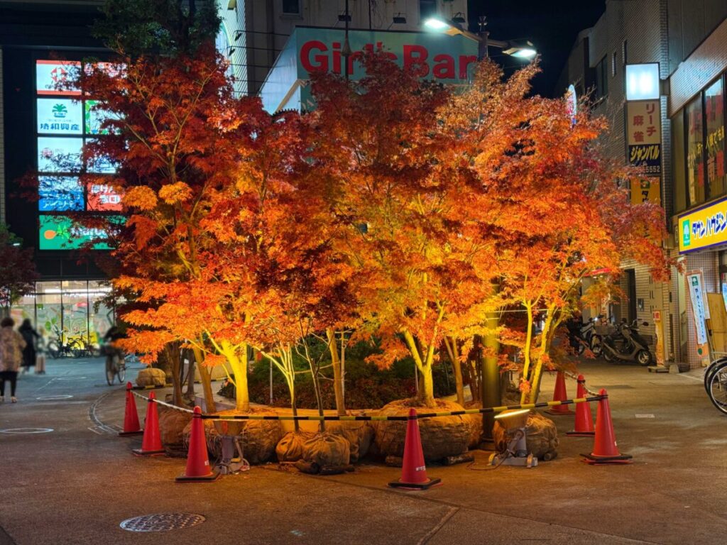 グリーンプラザ　もみじライトアップ