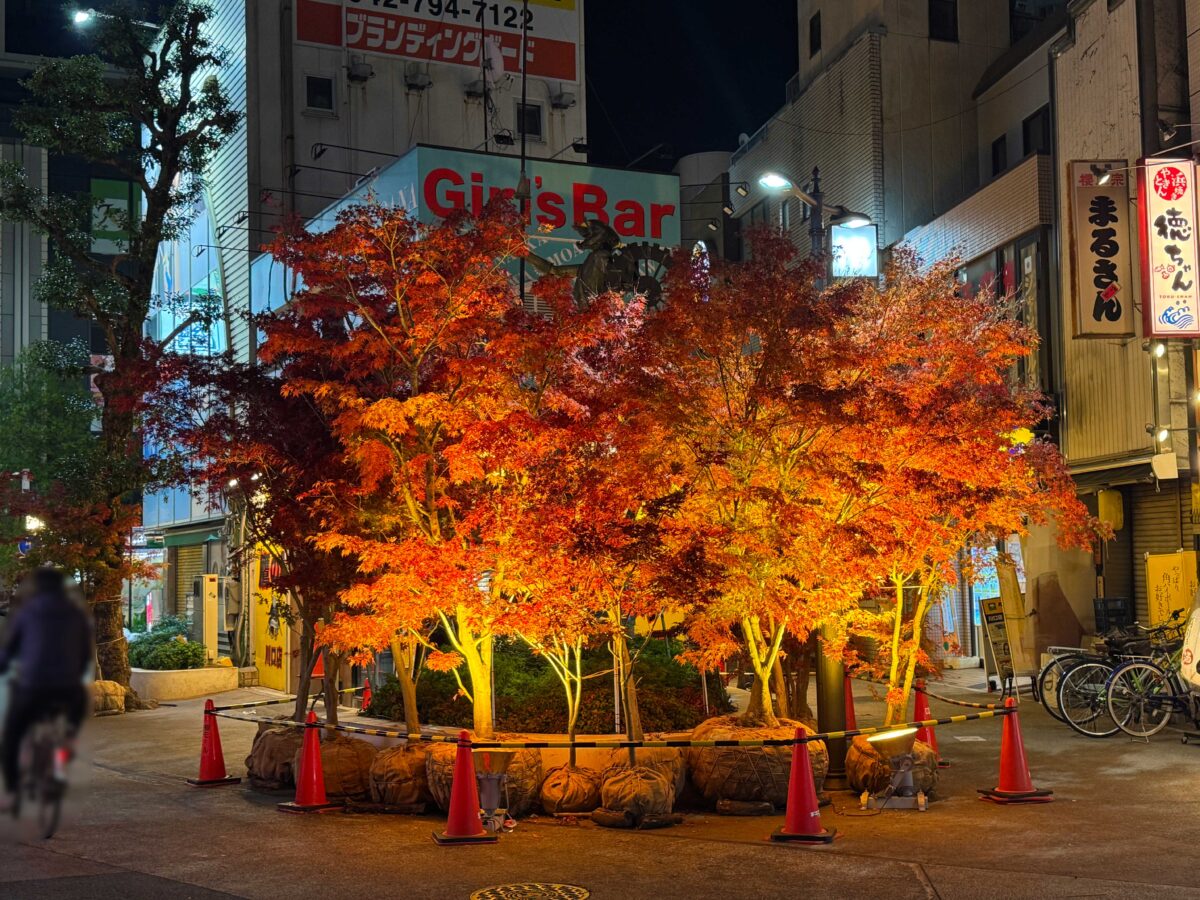 グリーンプラザ　もみじライトアップ