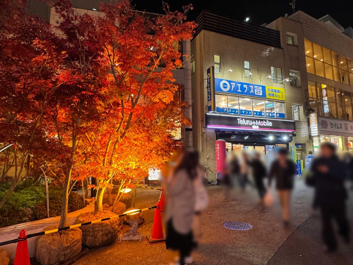 グリーンプラザ　もみじライトアップ