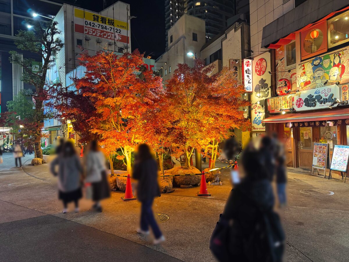 グリーンプラザ　もみじライトアップ